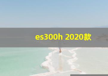 es300h 2020款